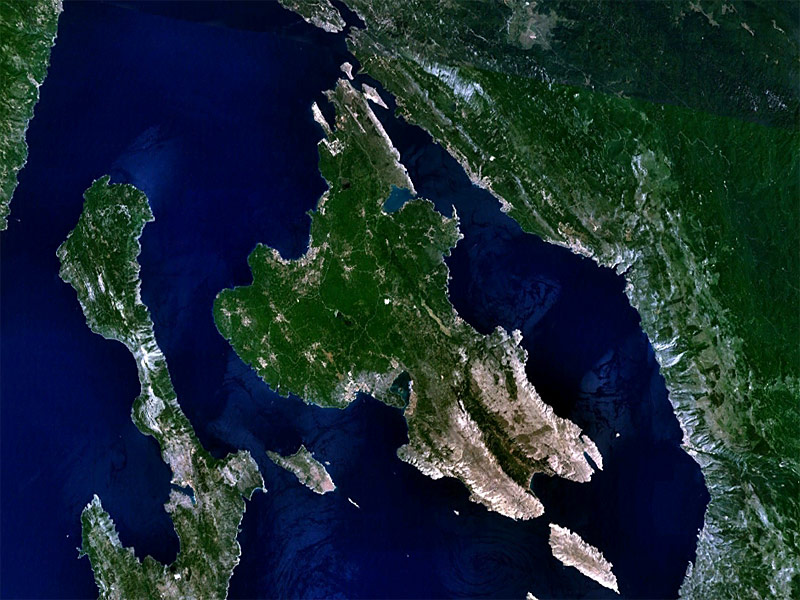Naslovna